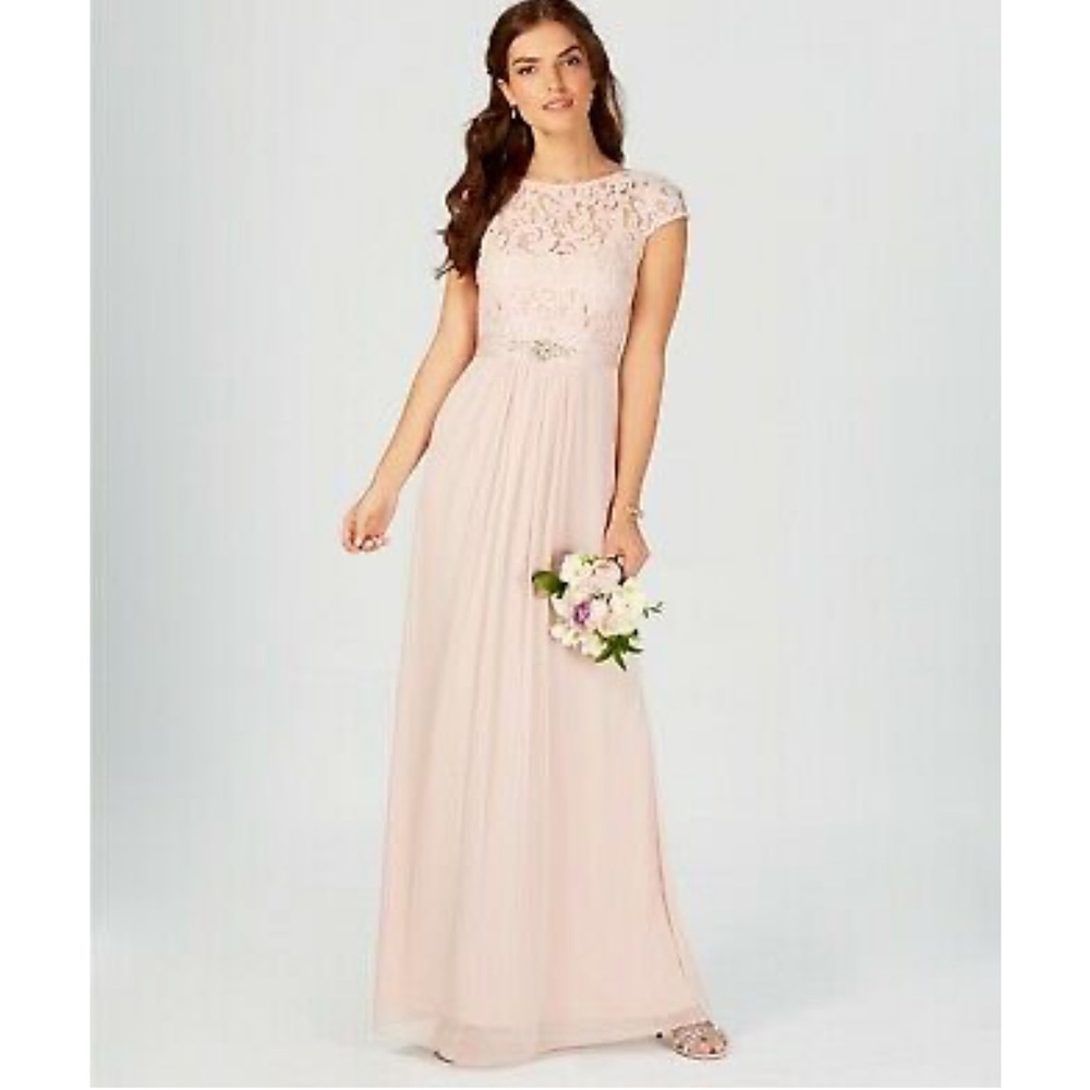 Adrianna Papell Pink Lace Maxi Dress